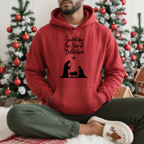 Adore Him Biblical Hoodie